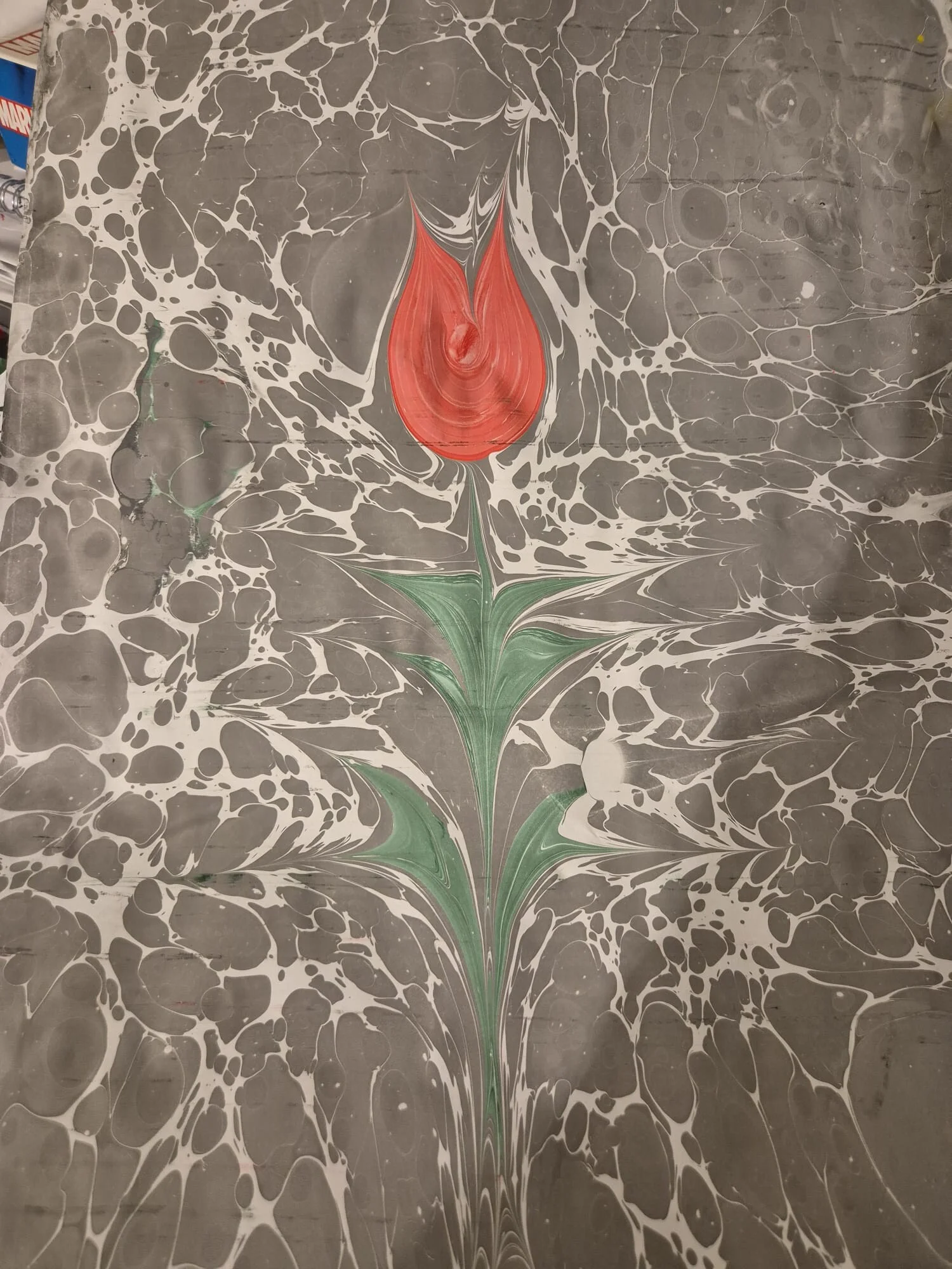 img-20241214-wa0022-high-v9bt8a