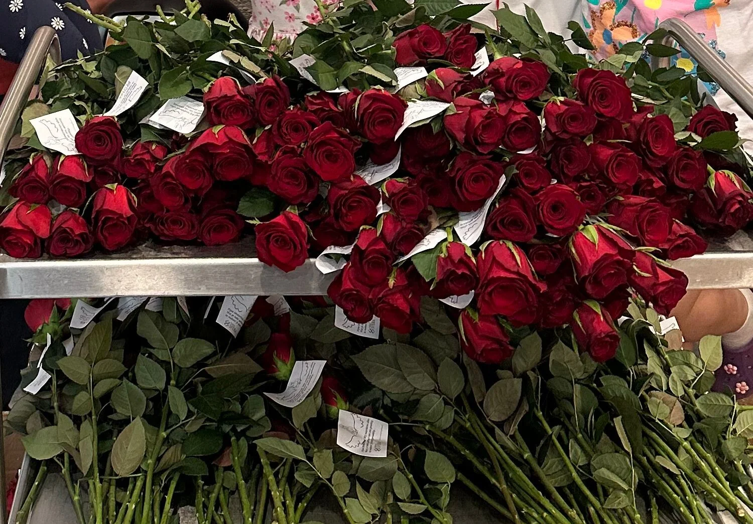 whatsapp-g-rsel-2024-05-11-saat-22-50-35_1d961044-high-8n3un3